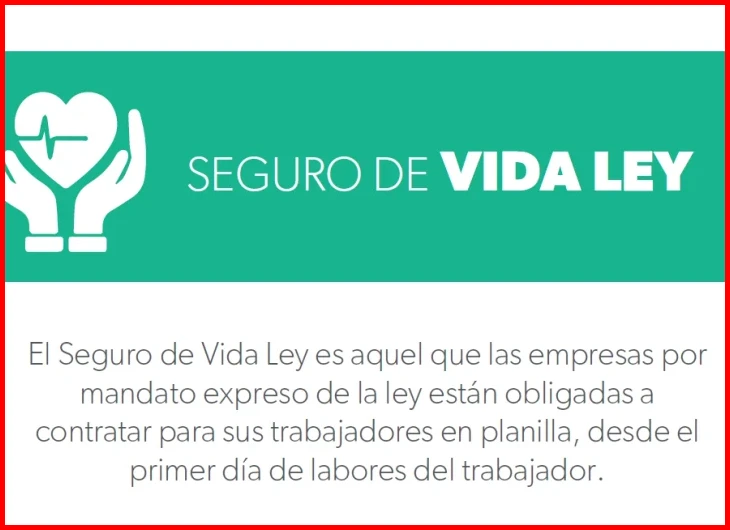 ¿Conoce todo sobre el Seguro de Vida Ley - APESEG?