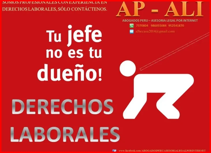 Plazos y procedimientos legales para reclamar tu derecho tras despido arbitrario